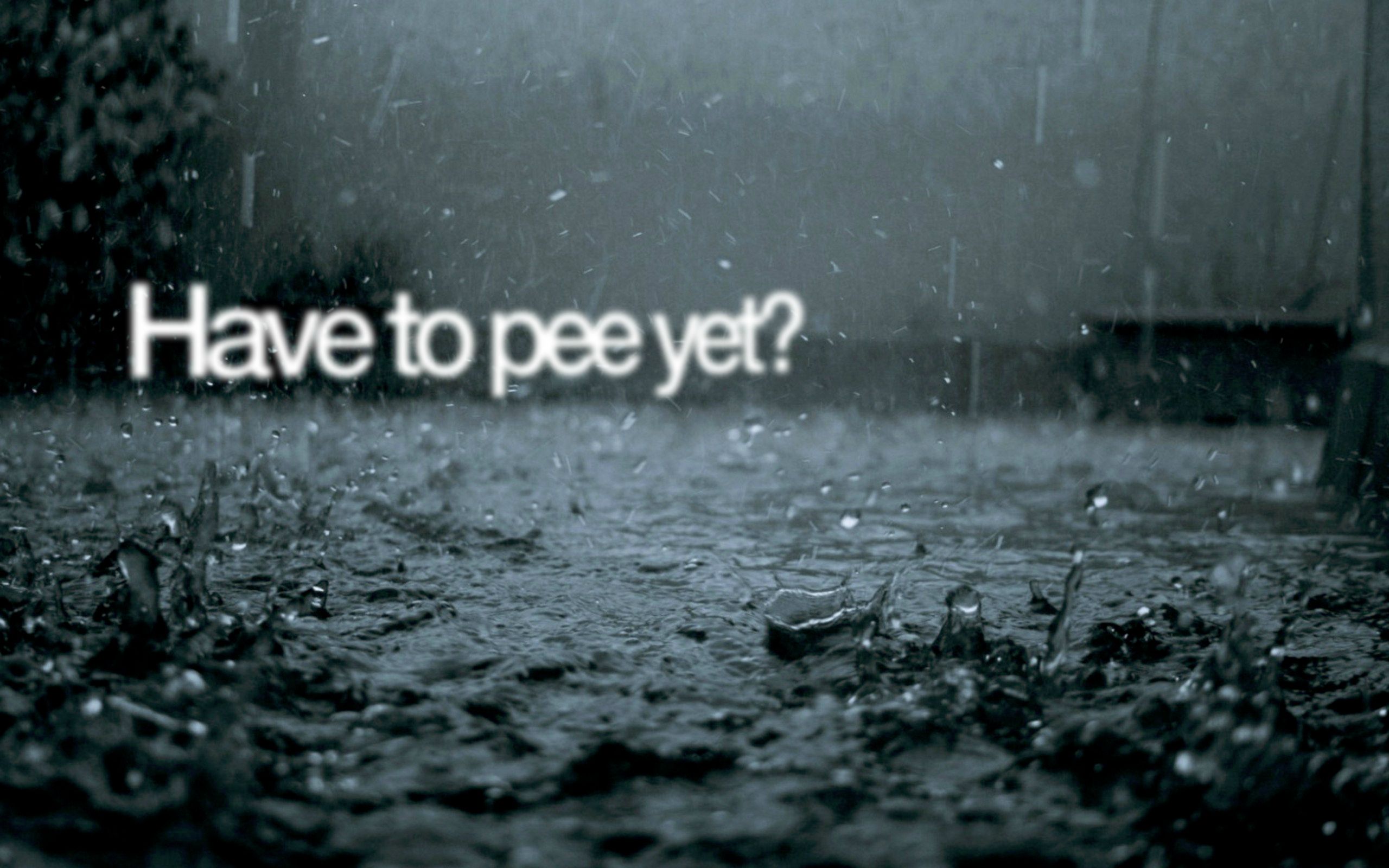 1920 x 1080 HD Wallpapers 2354